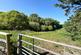 Additional image 20 of Lime Kiln Lane, Holbury, Southampton, Hampshire, SO45
