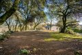 Additional image 38 of 10988 Pleasant Valley Rd, Penn Valley, CA, 95946