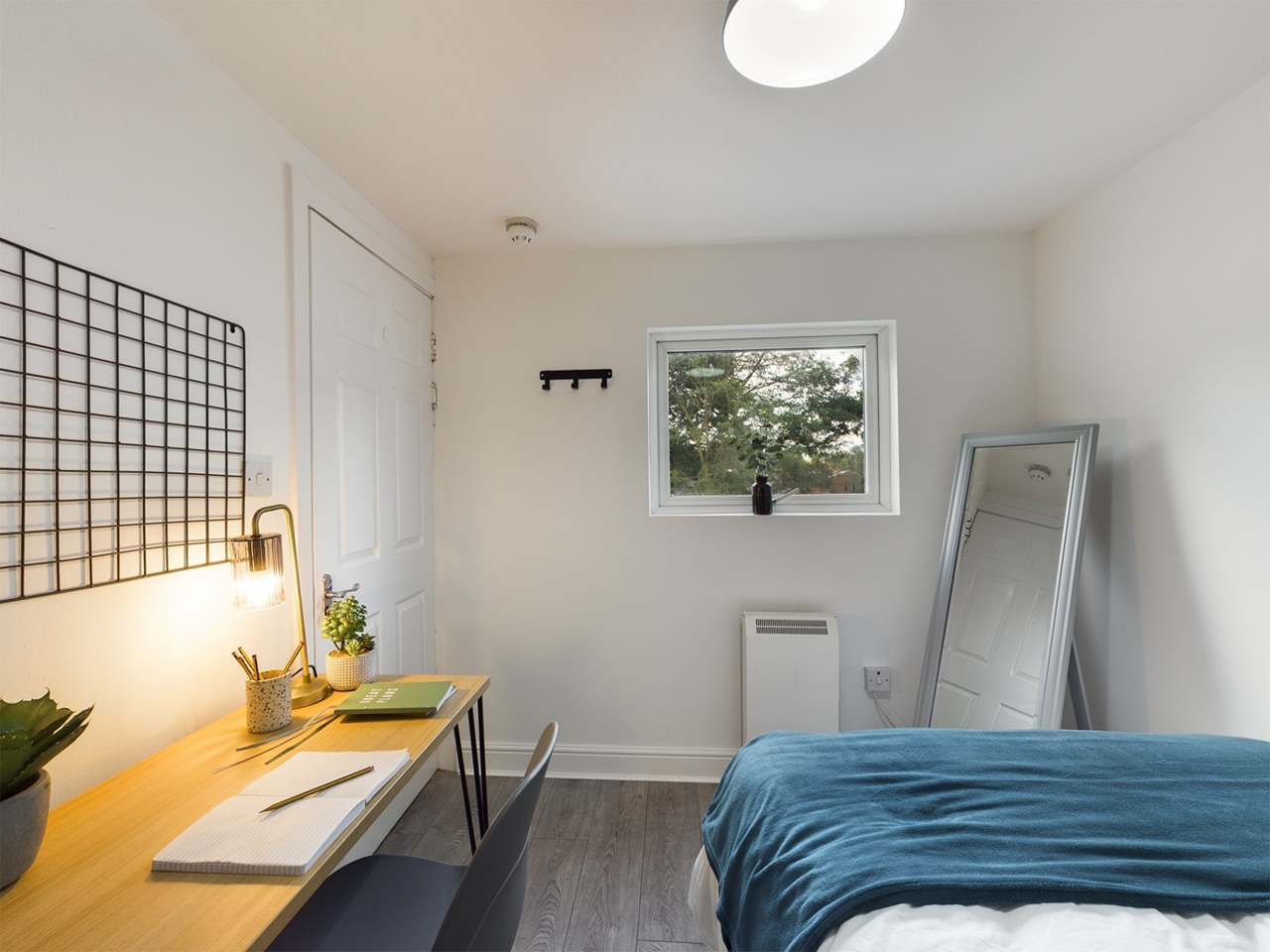 Room in a Shared Flat, Ossory St, M14, N1 7GU photo 3