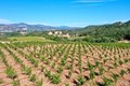 Additional image 64 of 25845 Dutcher Creek Rd, Cloverdale, CA, 95425