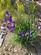 Additional image 42 of Ravendale, Grassgarth Lane, Ings, Kendal, LA8 9QF