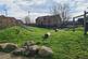 Additional image 13 of Salisbury Road, Southall, Middlesex, UB2 5QF