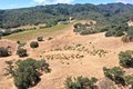 Additional image 30 of 25845 Dutcher Creek Rd, Cloverdale, CA, 95425