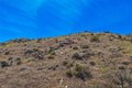 Additional image 21 of 58205 Santa Barbara Dr, Yucca Valley, CA, 92284