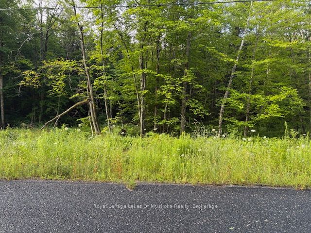 47 Summer Leigh Trail, Huntsville, ON, P0B 1M0