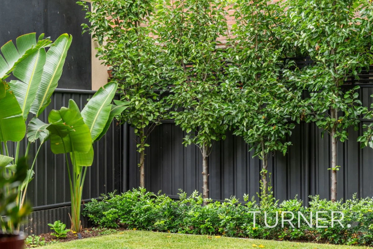 Additional image 18 of 8 George Street, Payneham SA 5070