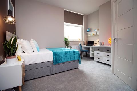 Professional House Share, Colum Road, Cardiff CF10, Room to rent