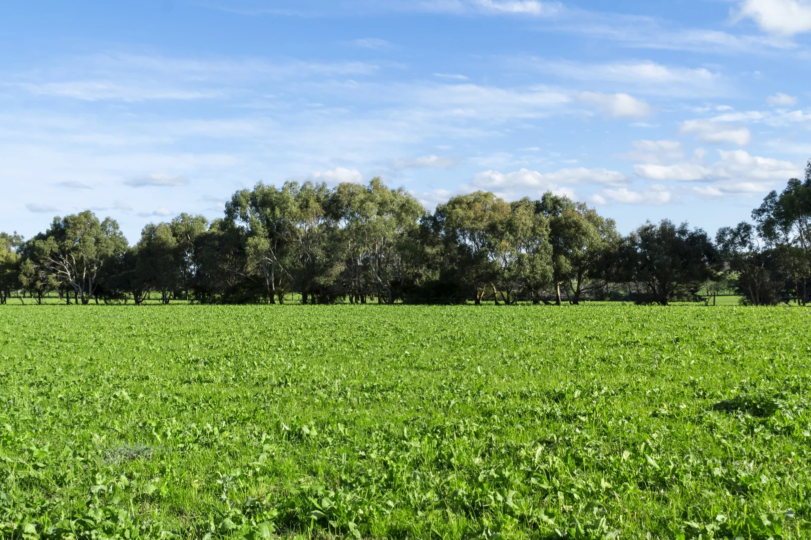 Additional image 12 of The Bend, Kellys Road, Panmure VIC 3265