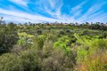 Additional image 38 of 12204 Pepper Tree Ln, Poway, CA, 92064