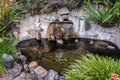 Additional image 20 of 8066 Woodland Ln, Los Angeles, CA, 90046
