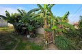 Additional image 22 of 435 S McPherrin Ave, Monterey Park, CA, 91754