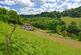 Additional image 13 of Cadeleigh, Tiverton, Devon, EX16