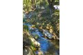 Additional image 77 of 1493 Sycamore Canyon Rd, Santa Barbara, CA, 93108