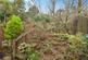 Additional image 19 of Broadmead, Tunbridge Wells, Kent, TN2