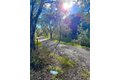 Additional image 49 of 81 Pixy Pl, Santa Rosa, CA, 95409