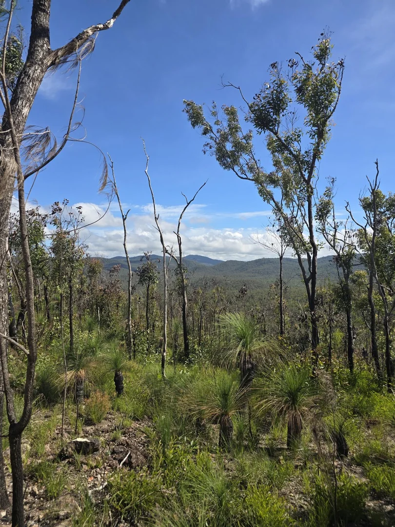 Additional image 18 of Herberton QLD 4887