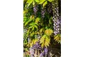 Additional image 54 of 631 San Bruno Ave, San Francisco, CA, 94107