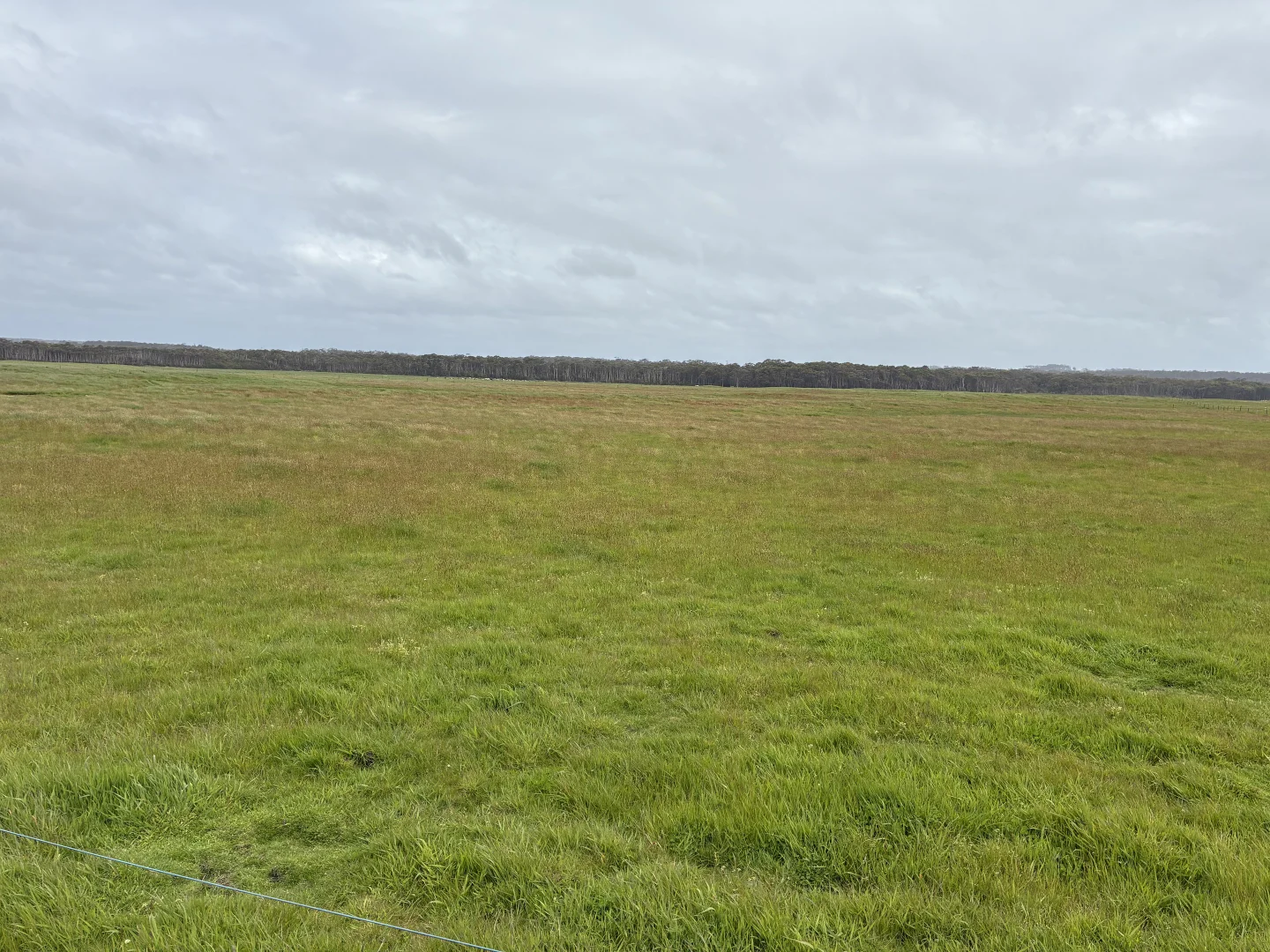 . Harcus River Road, Marrawah TAS 7330 photo 5