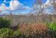 Additional image 3 of 5 Stratherrick Park, Inverness