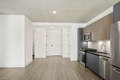 Additional image 4 of 234 W Polk St Unit 1-1, Chicago, IL, 60607