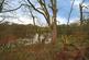 Additional image 6 of Barrow Bridge Road, Greater Manchester, BL1