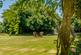 Additional image 17 of Dryslwyn, Carmarthen