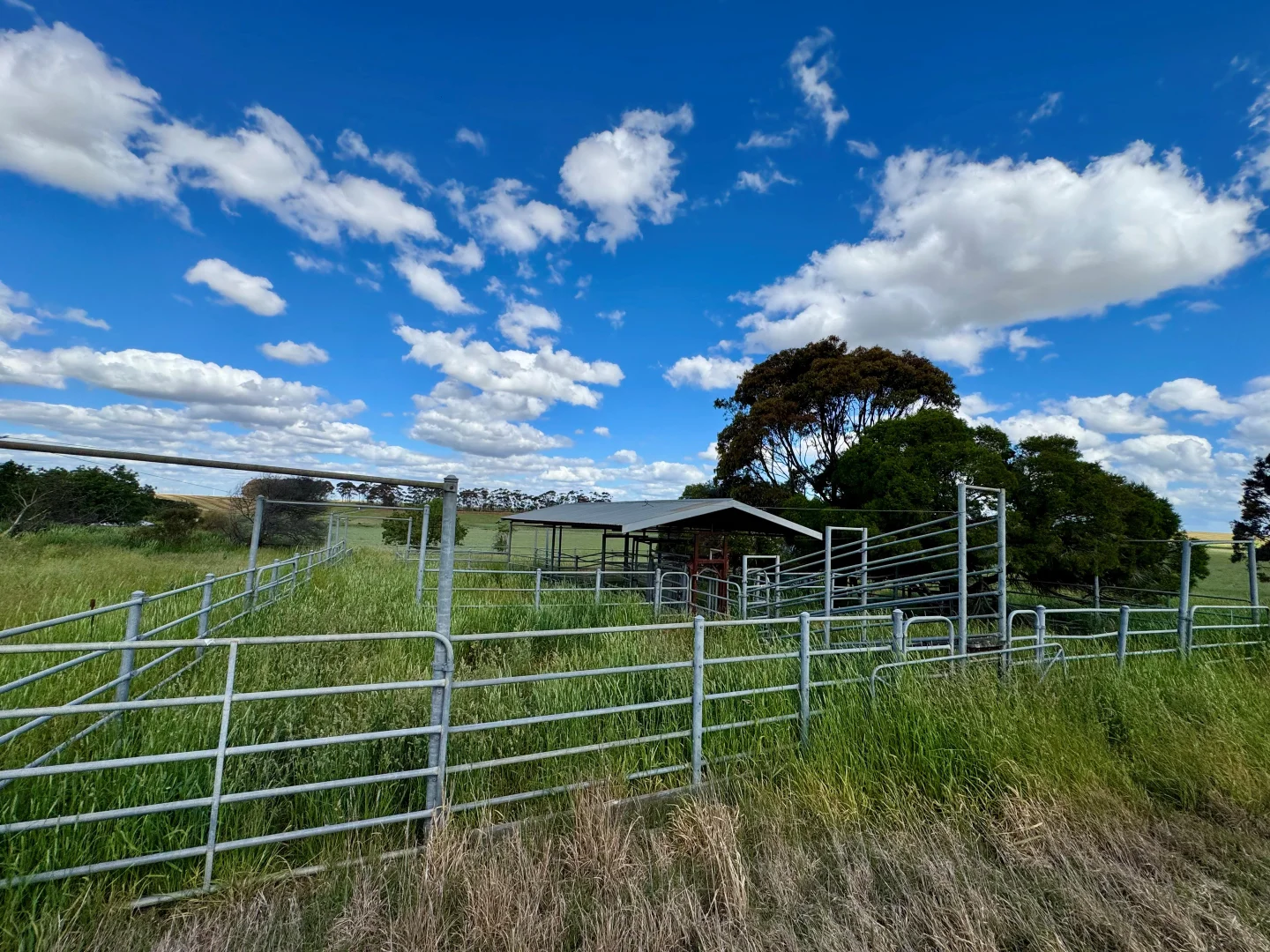 Additional image 6 of 1205 Lower Darlington Road, Lismore VIC 3324