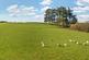 Additional image 23 of Troed Y Garth, Van, Llanidloes, Powys, SY18