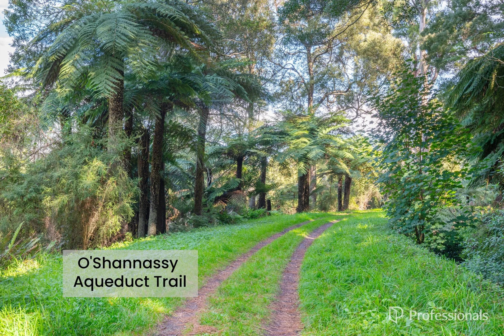 Additional image 28 of 67 Donna Buang Road, Warburton VIC 3799