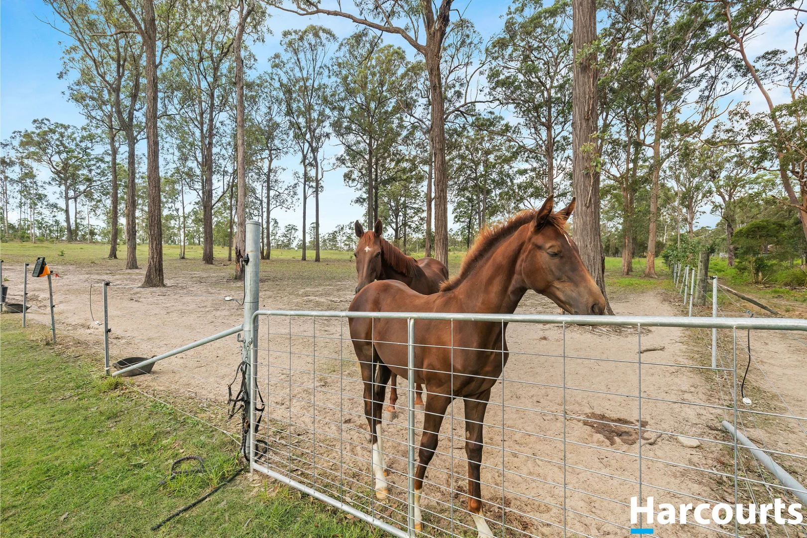 Additional image 30 of 52 Forest Glen Road, Limeburners Creek NSW 2324