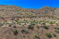 Additional image 32 of 58205 Santa Barbara Dr, Yucca Valley, CA, 92284
