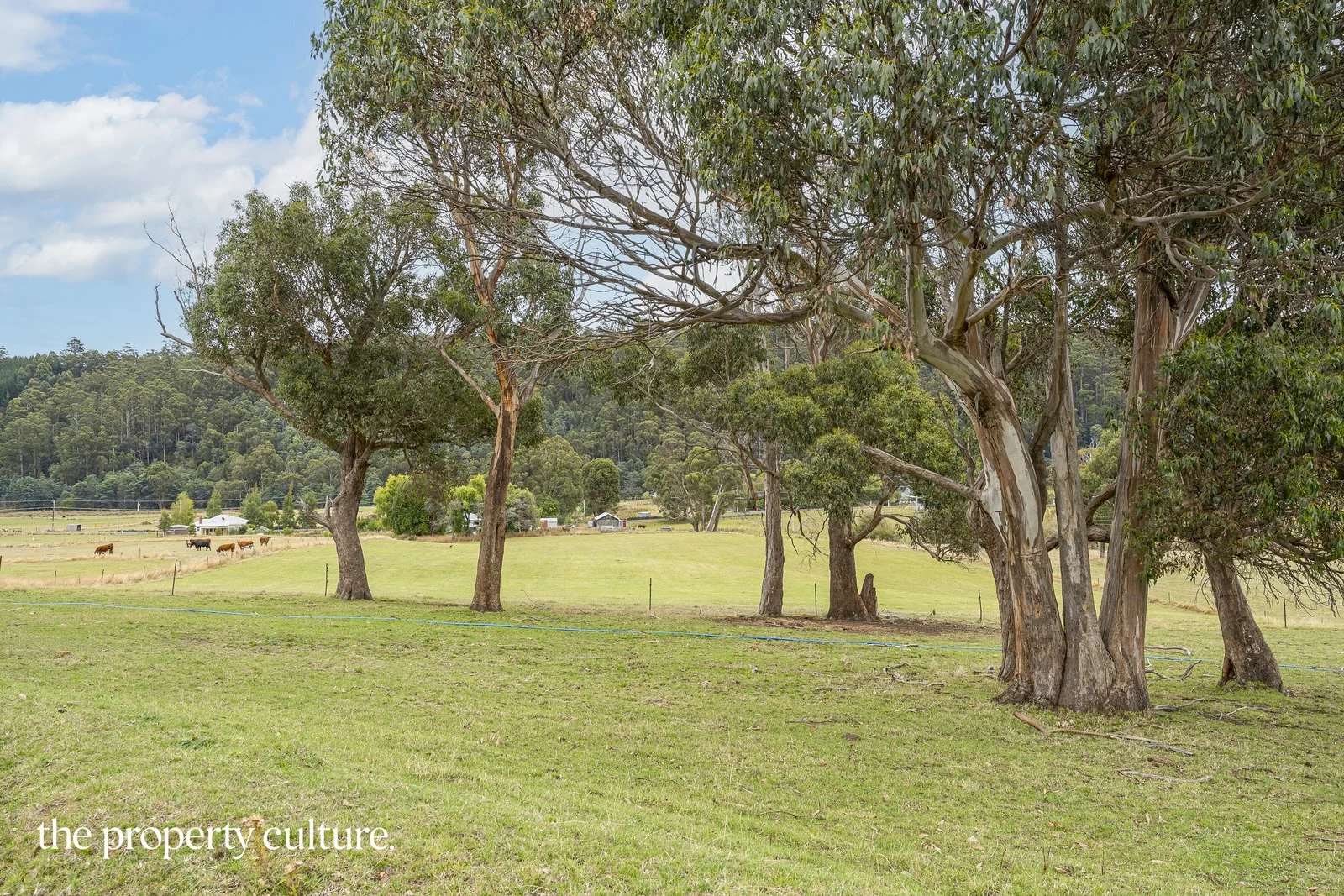 Additional image 3 of 989 Woodbridge Hill Road, Gardners Bay TAS 7112