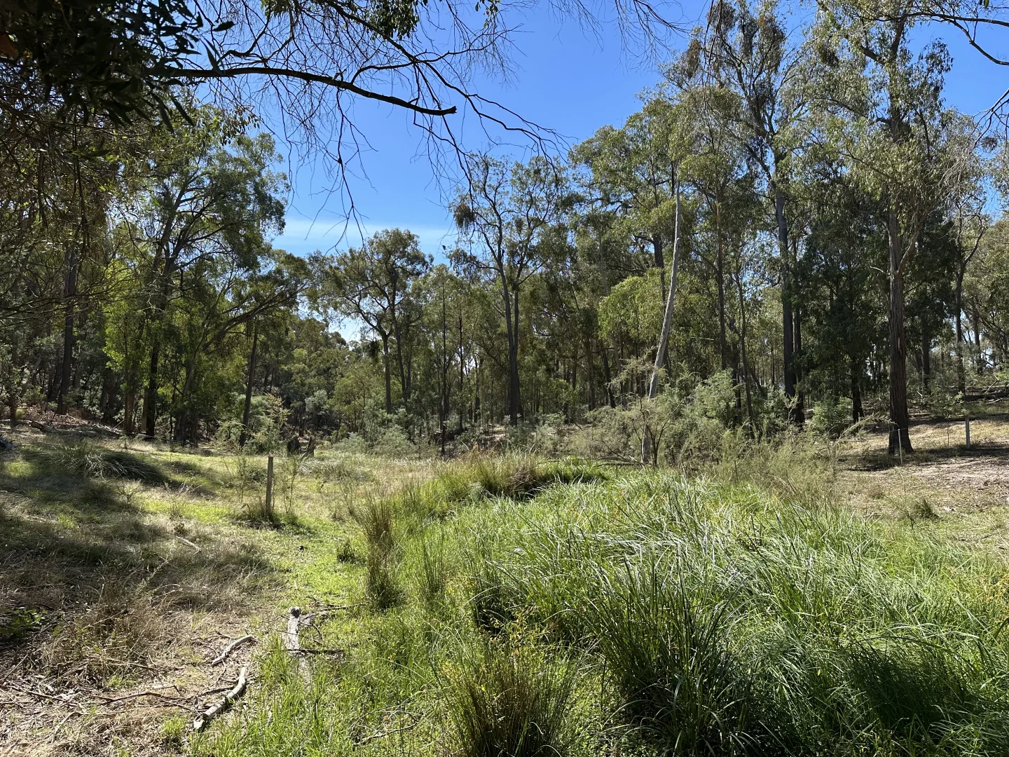 Additional image 6 of 880 Lima East Road, Lima East VIC 3673