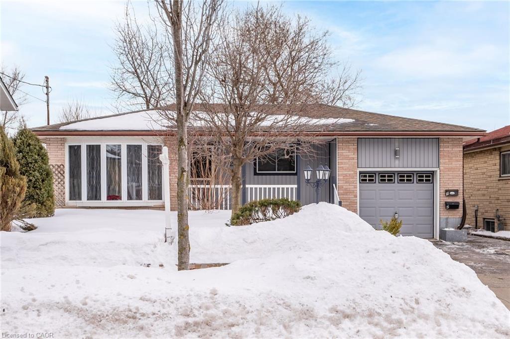 Basement-281 Dixon Street, Kitchener, ON, N2G 3G1