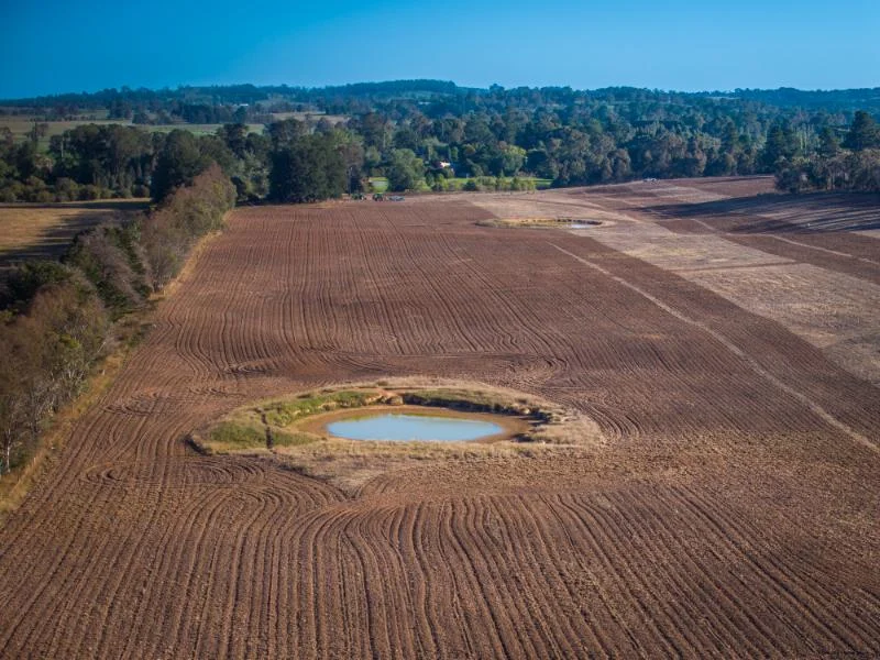 Additional image 6 of 7300 Illawarra Highway, Sutton Forest NSW 2577