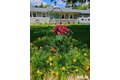 Additional image 30 of 12119 Poordo Rd, Pittsburg, IL, 62974