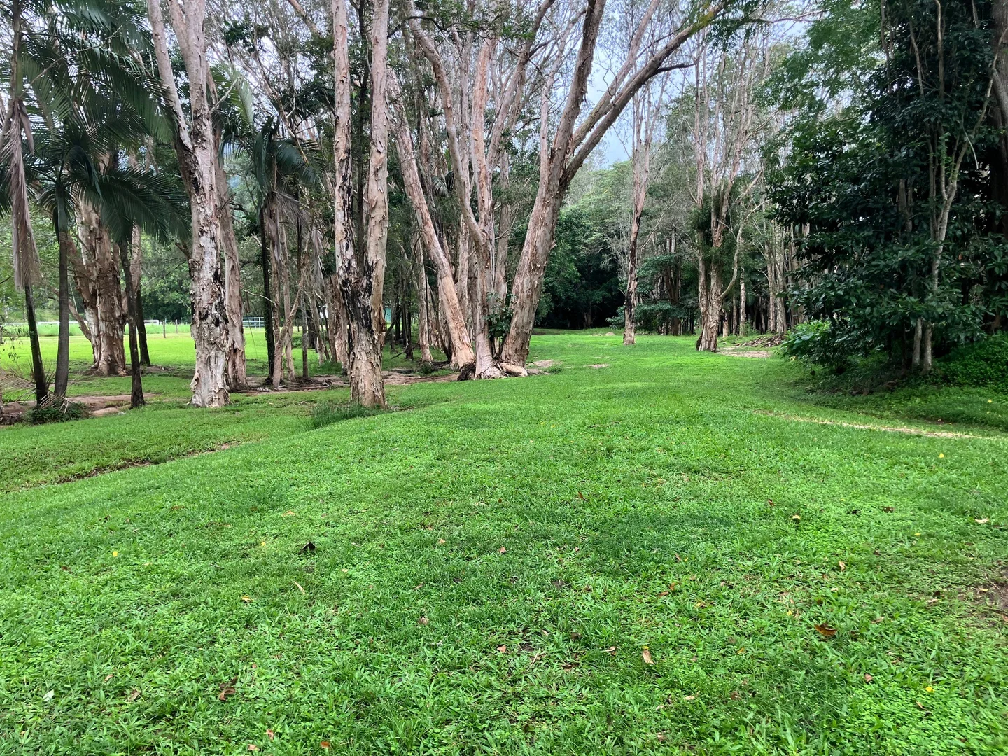 Additional image 11 of Gorge Road, Finch Hatton QLD 4756