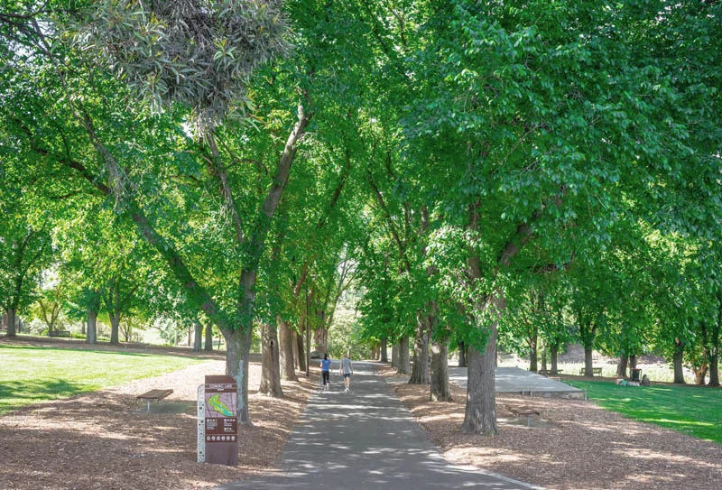Additional image 13 of 93 O'Hea Street, Coburg VIC 3058