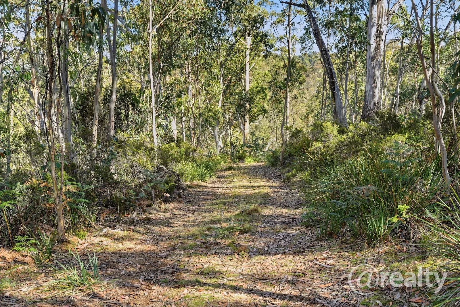 Additional image 8 of 2340 Victoria Valley Road, Victoria Valley TAS 7140