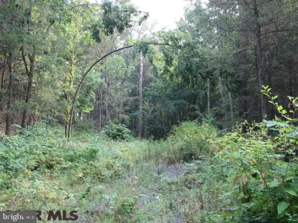 Lot 117 Two Mile Road, Howard, PA 16841