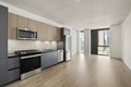 234 W Polk St Unit 1-1, Chicago, IL, 60607