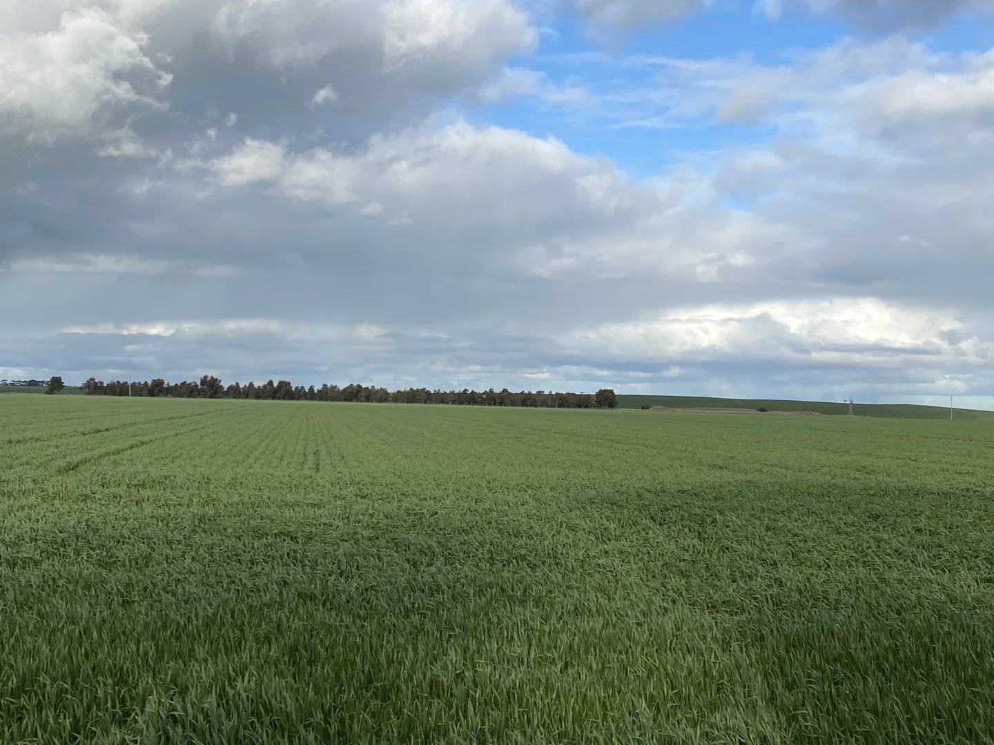 Additional image 12 of 1205 Lower Darlington Road, Lismore VIC 3324