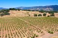 Additional image 40 of 25845 Dutcher Creek Rd, Cloverdale, CA, 95425