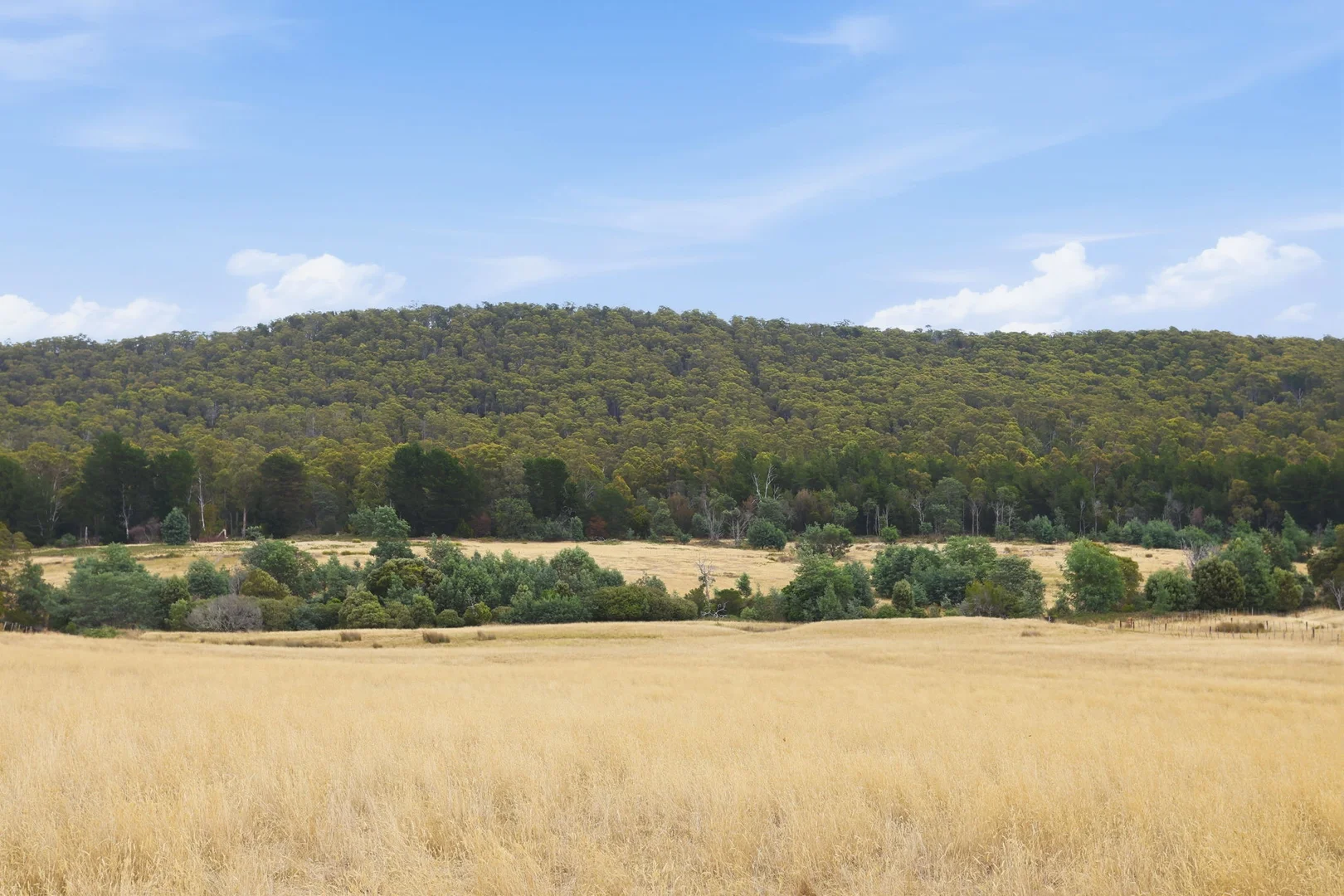 Additional image 14 of 3615 West Tamar Highway, Sidmouth TAS 7270