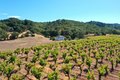 Additional image 3 of 25845 Dutcher Creek Rd, Cloverdale, CA, 95425