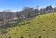 Additional image 17 of Crow's Nest, Cornwall PL14