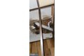 Additional image 8 of 3202 Presbury St, Baltimore, MD, 21216