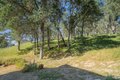 Additional image 37 of 1486 Steele Canyon Rd, Napa, CA, 94558