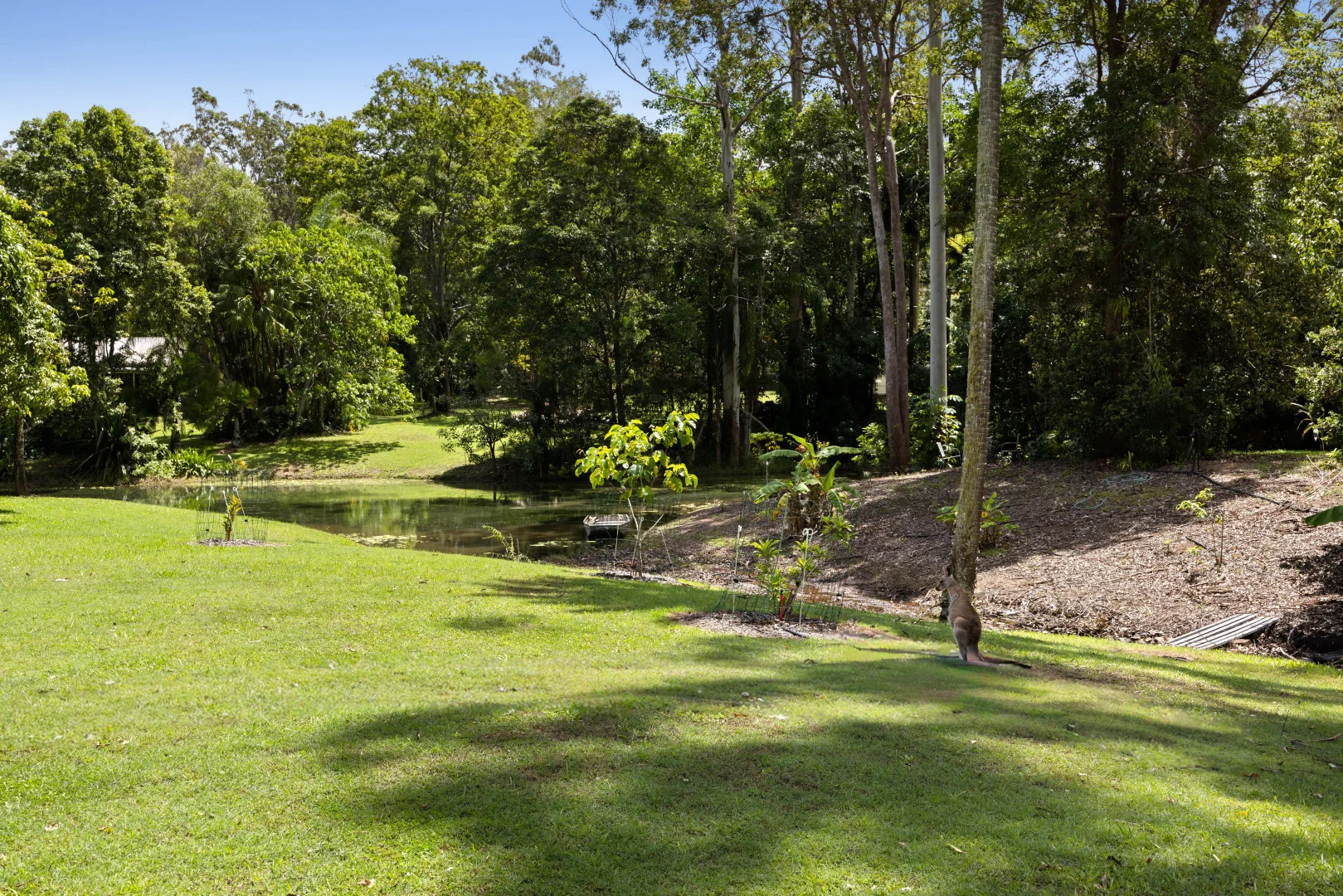 Additional image 32 of 6 Sawreys Road, Forest Glen QLD 4556