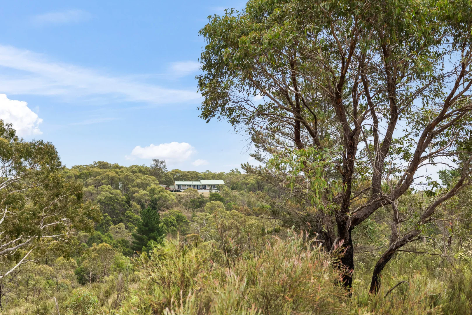 Additional image 33 of 7288 Nerriga Road, Braidwood NSW 2622